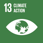 Sustainable Development Goal 13 - Climate Action